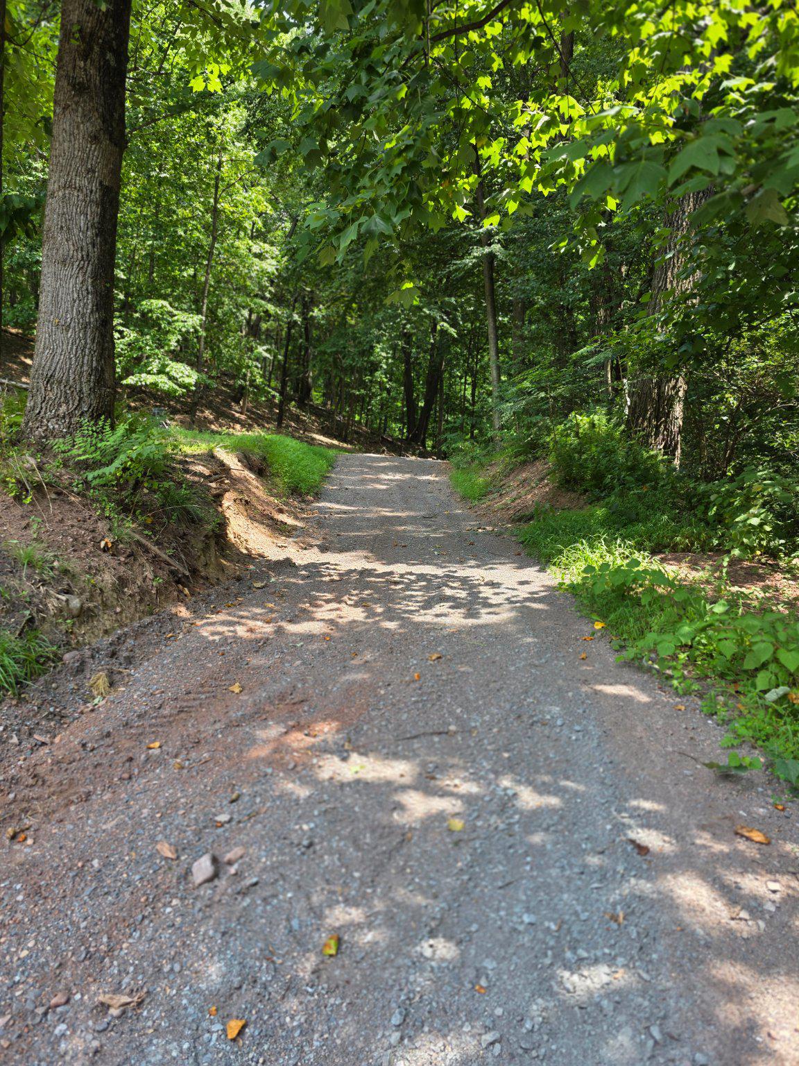 6 Maple Grove Road Mohnton, PA 19540 - Photo 22 of 23 Stone path to additional wooded part of property.