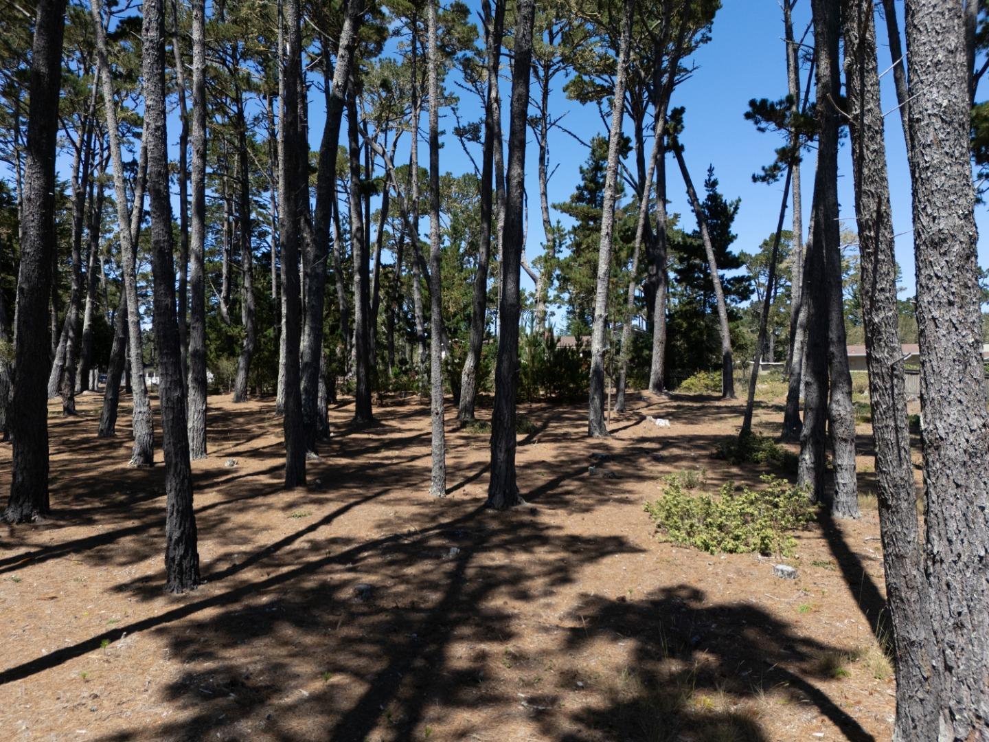 4045 Sunridge Road Pebble Beach, CA 93953 - Photo 12 of 15 Gallery Image 12