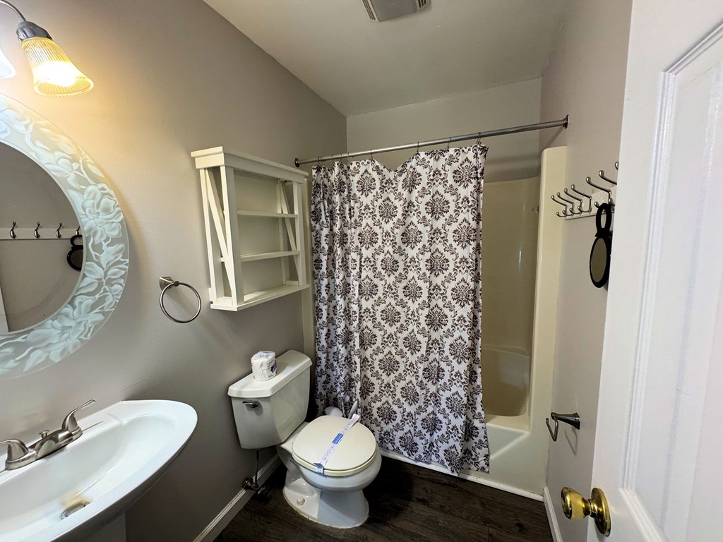 7203 Bunting Road Chincoteague, VA 23336 - Photo 8 of 12