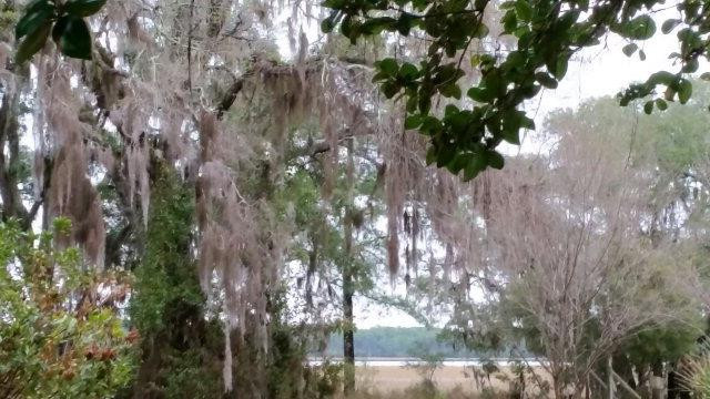 430 Stutts Road Brunswick, GA 31523 - Photo 1 of 1 Gallery Image 1