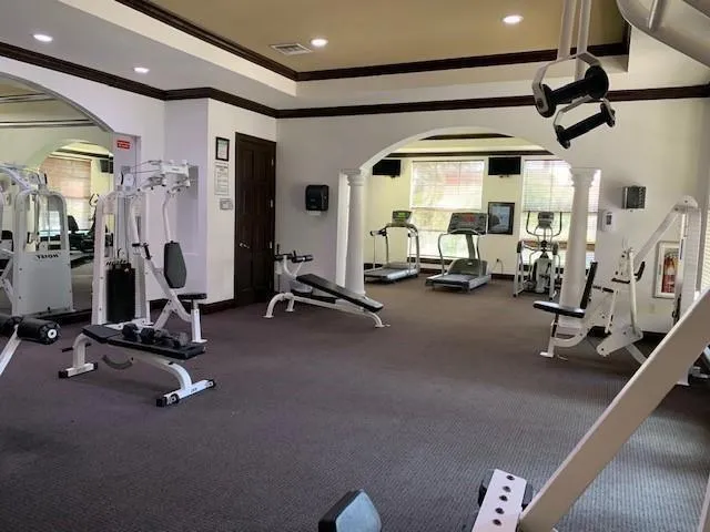 a view of outdoor space with palm trees