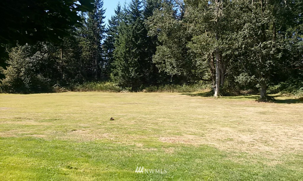 12315 Hubbard Road Southeast Rainier, WA 98576 - Photo 18 of 21 Gallery Image 18