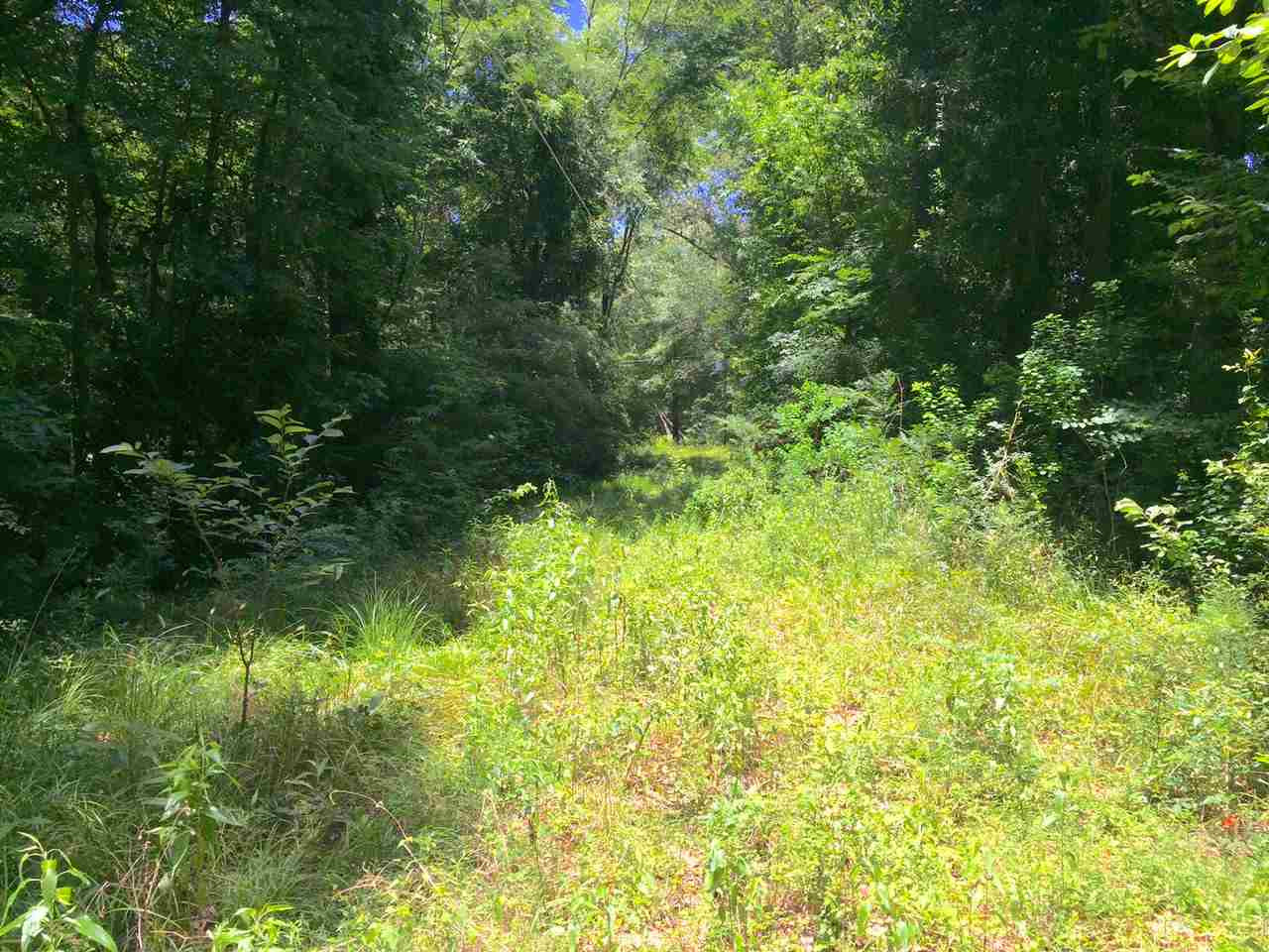 913 North Old Canton Road Canton, MS 39046 - Photo 1 of 2 Photo 1