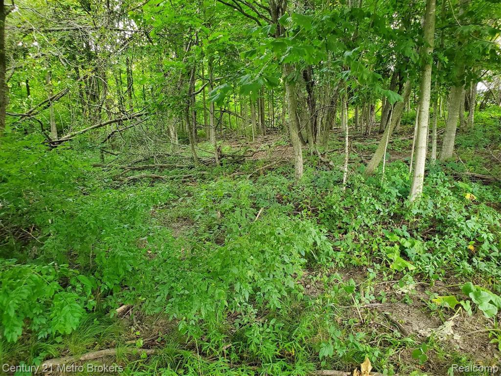 0 Castle Rd Branch North Branch, MI 48461 - Photo 8 of 9