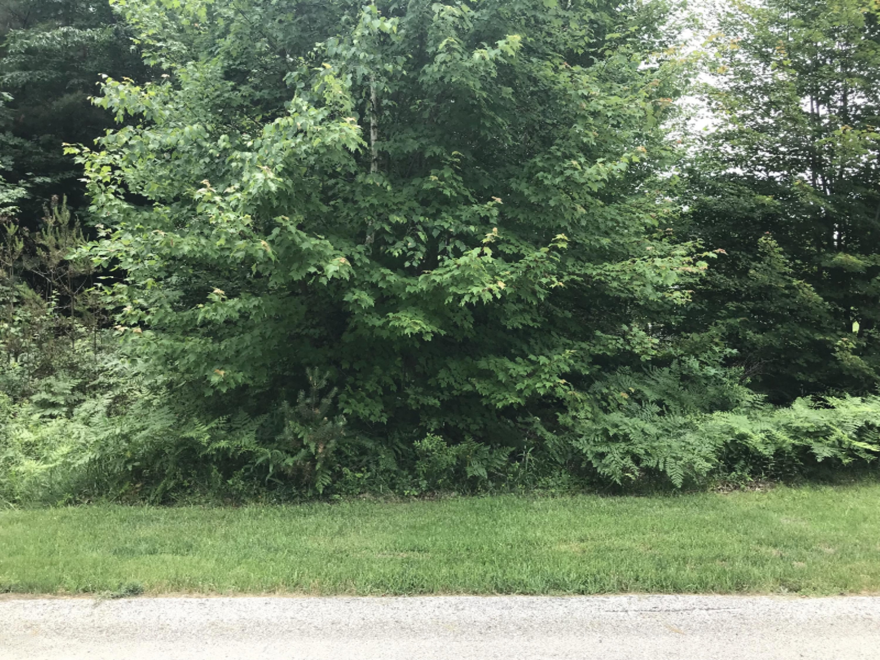 18803 West Fruitport Road Spring Lake, MI 49456 - Photo 1 of 2 IMG_9783