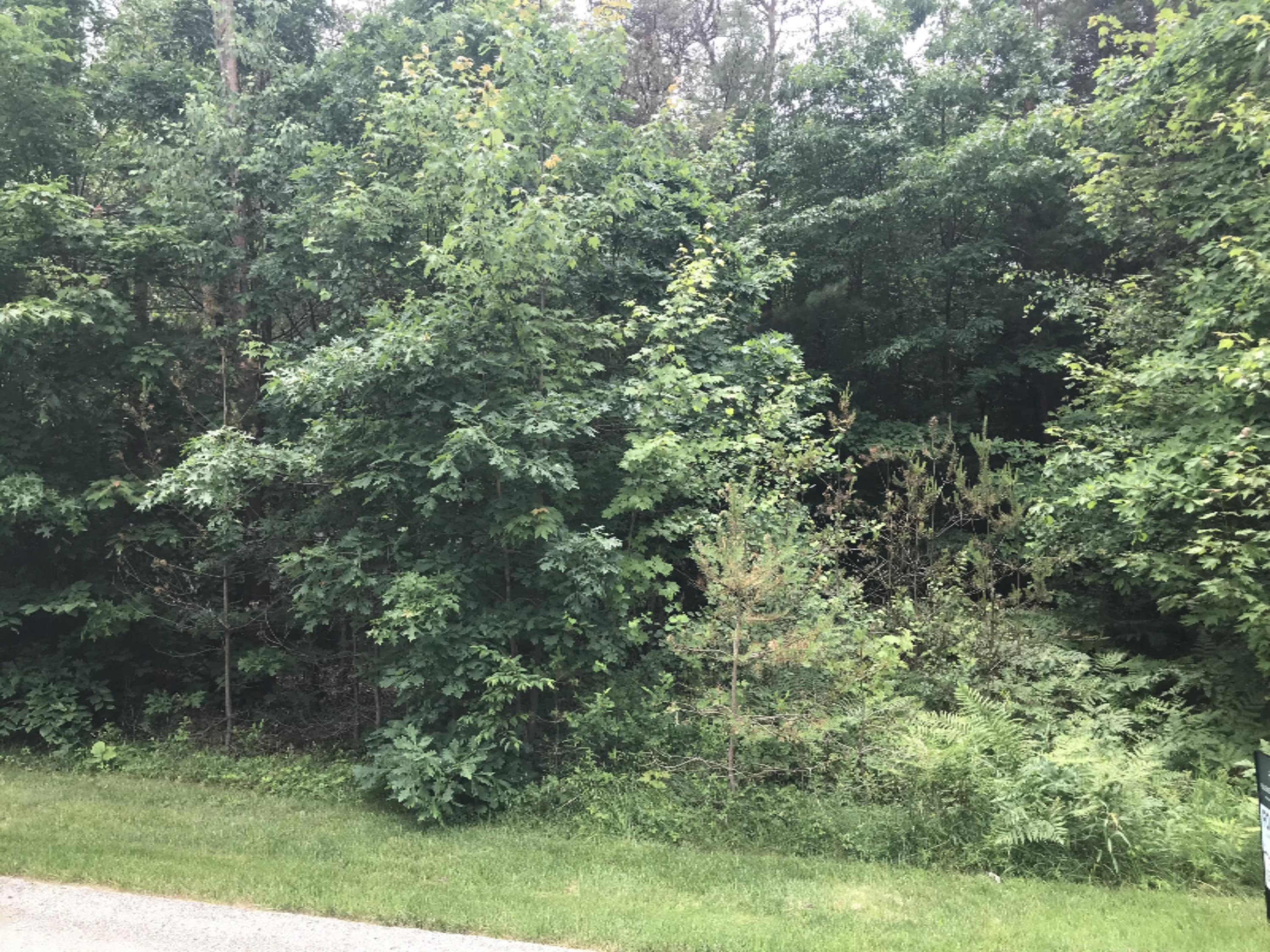 18803 West Fruitport Road Spring Lake, MI 49456 - Photo 2 of 2 IMG_9784