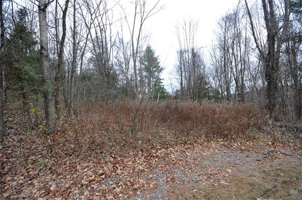 Lot 2 Wheeler Road Stow, MA 01775 - Photo 7 of 9