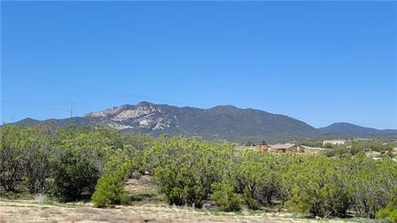 53409 Pony Trail Road Anza, CA 92539 - Photo 1 of 1 a view of a mountain range with lush green forest