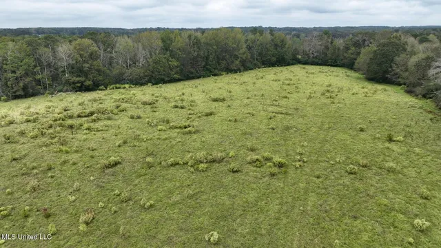 $582,600 | Tbd Airport Road, Prentiss, MS 39474