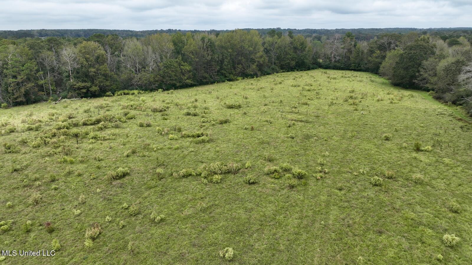 Tbd Airport Road Prentiss, MS 39474 - Photo 20 of 42 DJI_0098