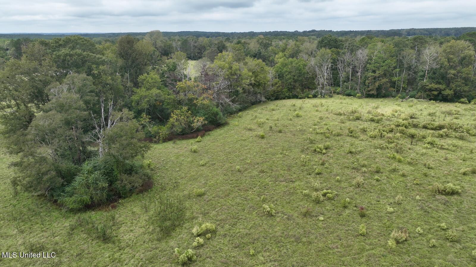 Tbd Airport Road Prentiss, MS 39474 - Photo 21 of 42 DJI_0099