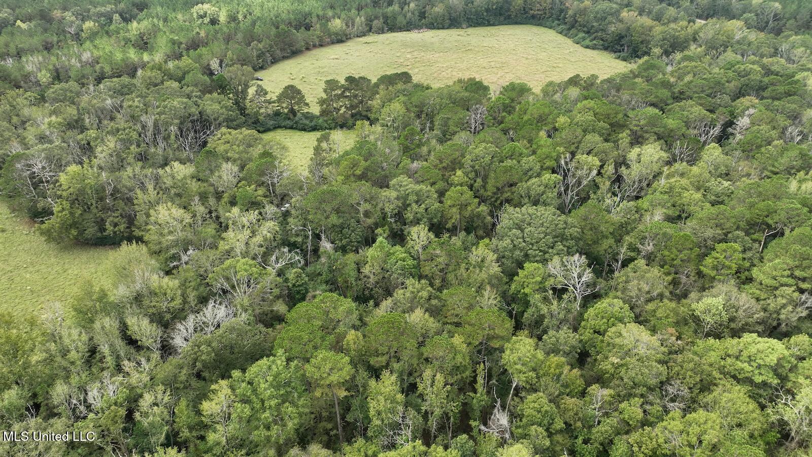 Tbd Airport Road Prentiss, MS 39474 - Photo 27 of 42 DJI_0109