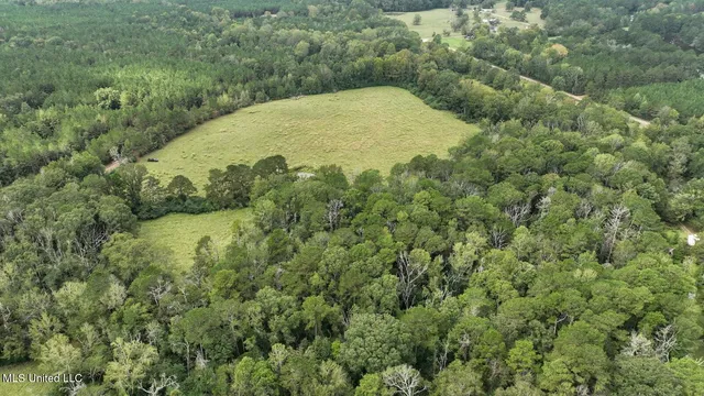 $582,600 | Tbd Airport Road, Prentiss, MS 39474