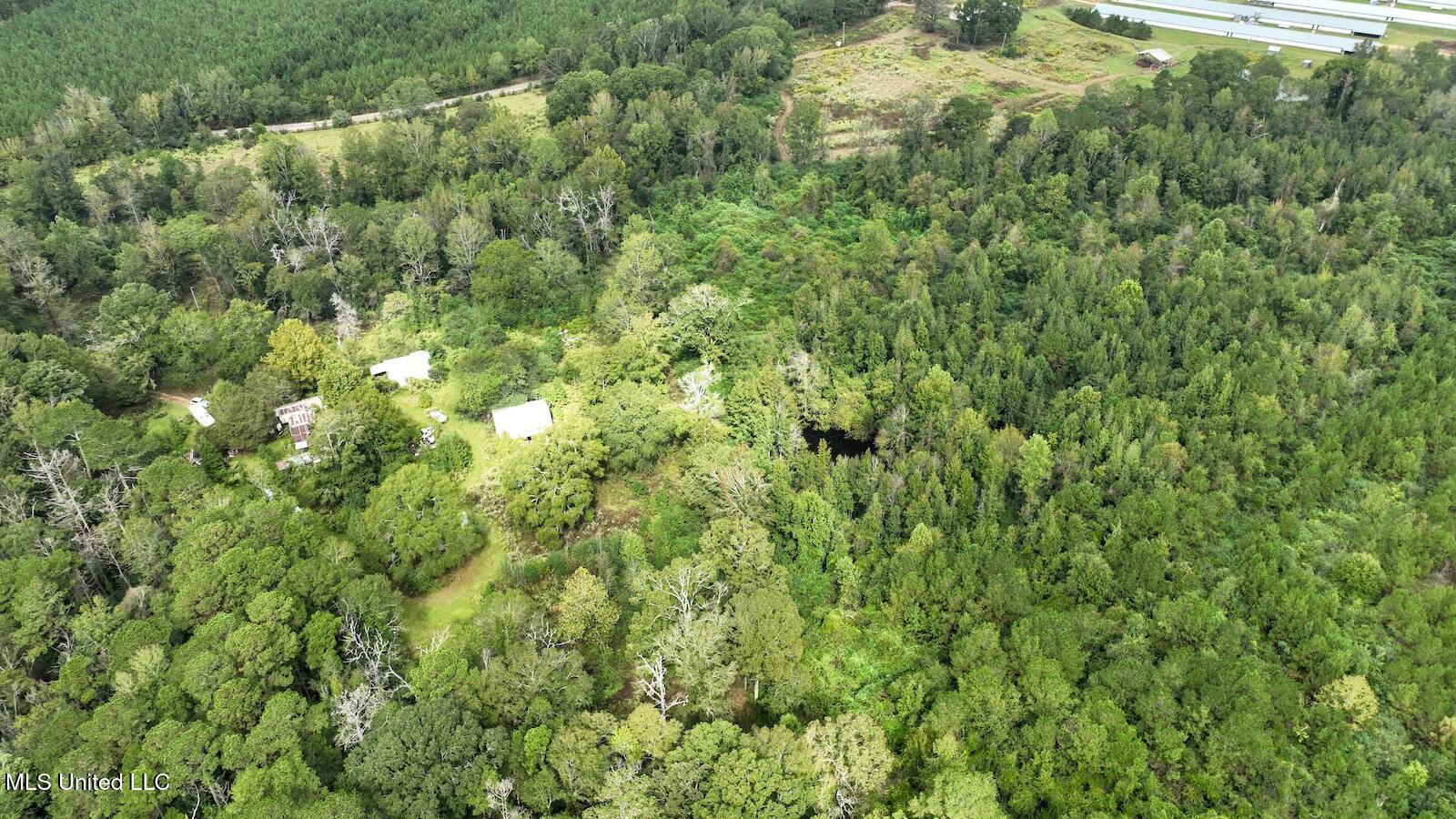 Tbd Airport Road Prentiss, MS 39474 - Photo 31 of 42 DJI_0114