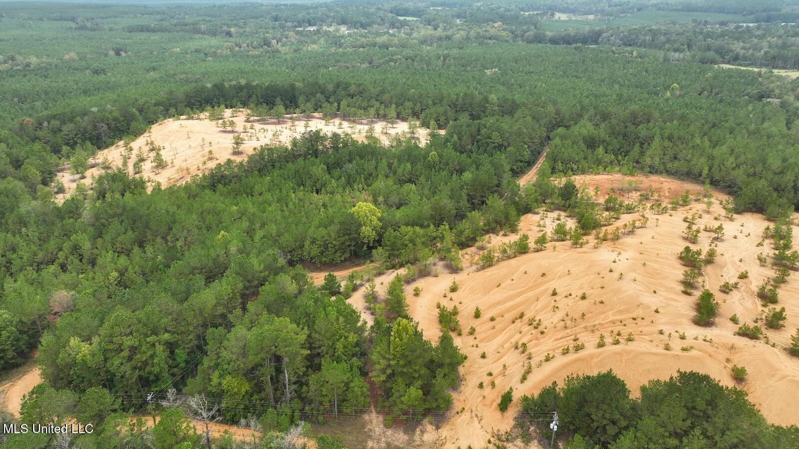 Tbd Airport Road Prentiss, MS 39474 - Photo 32 of 42 DJI_0045