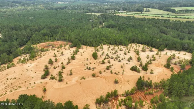 $582,600 | Tbd Airport Road, Prentiss, MS 39474