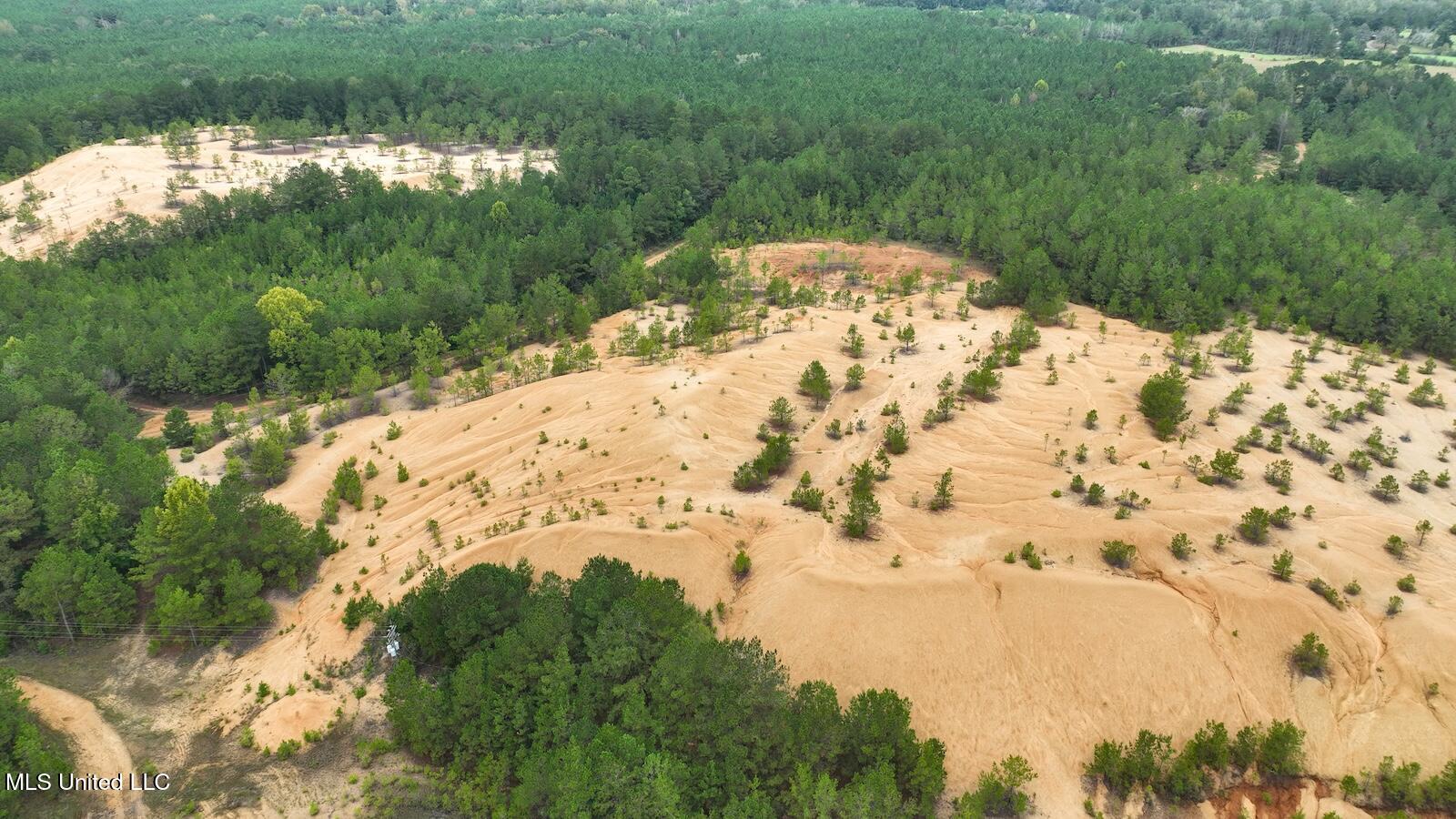 Tbd Airport Road Prentiss, MS 39474 - Photo 34 of 42 DJI_0051