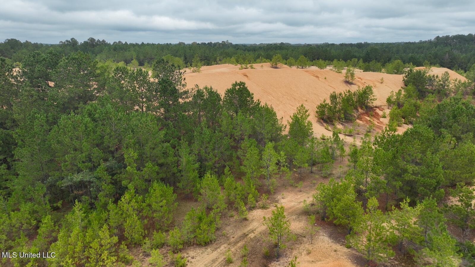 Tbd Airport Road Prentiss, MS 39474 - Photo 36 of 42 DJI_0070