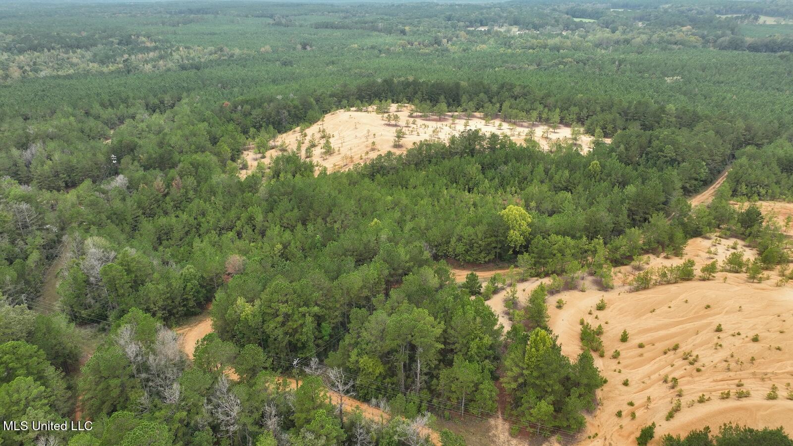 Tbd Airport Road Prentiss, MS 39474 - Photo 37 of 42 DJI_0046