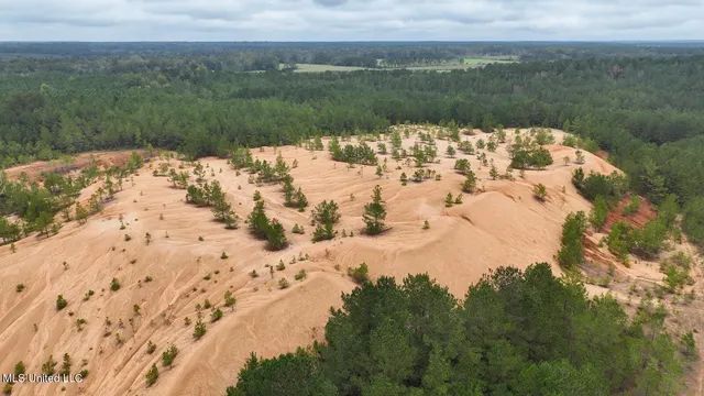 $582,600 | Tbd Airport Road, Prentiss, MS 39474