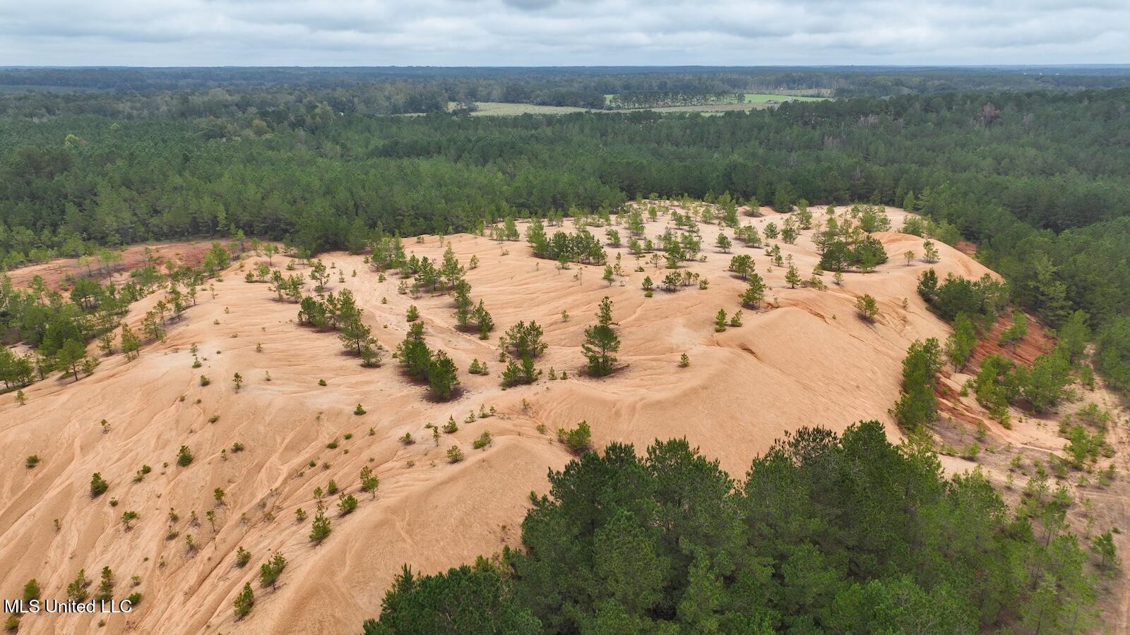 Tbd Airport Road Prentiss, MS 39474 - Photo 38 of 42 DJI_0037