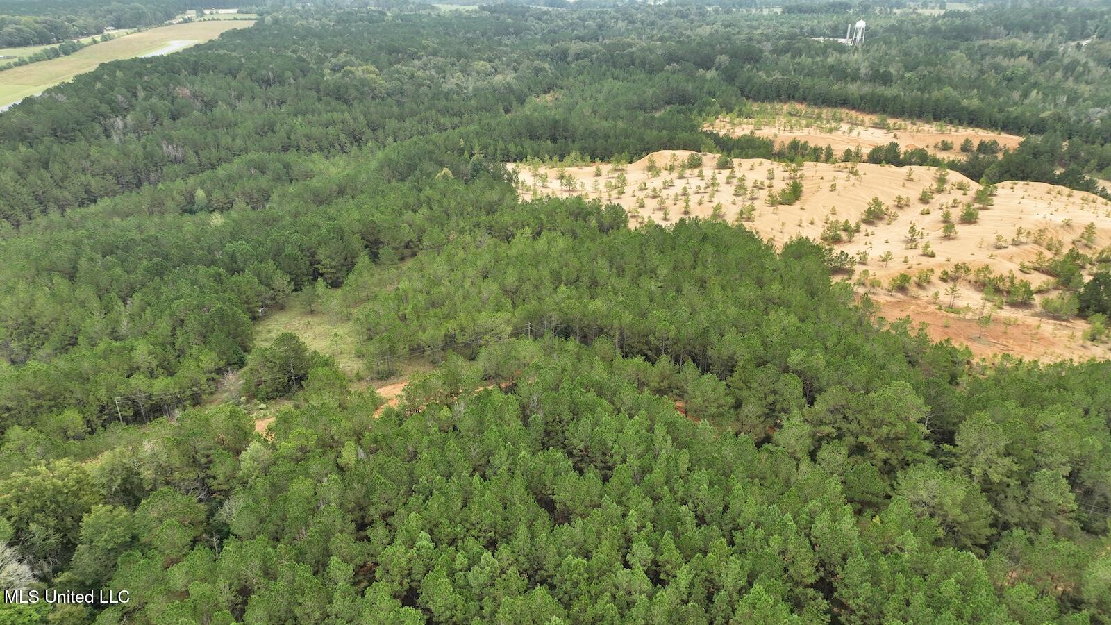 Tbd Airport Road Prentiss, MS 39474 - Photo 40 of 42 DJI_0065