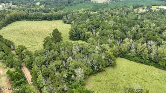 $582,600 | Tbd Airport Road, Prentiss, MS 39474