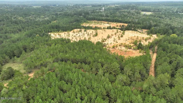 $582,600 | Tbd Airport Road, Prentiss, MS 39474