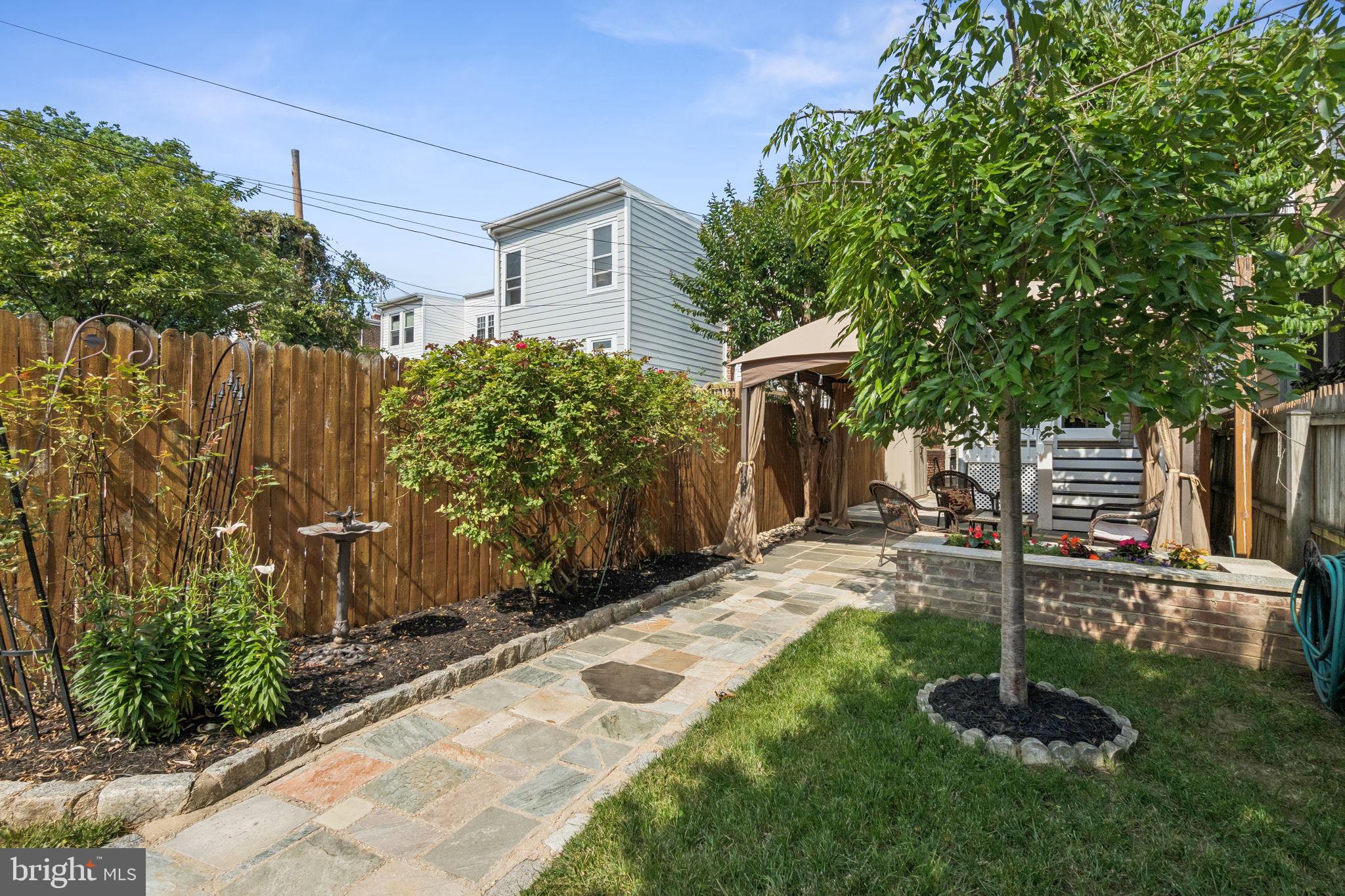 425 16th Street Southeast Washington, DC 20003 - Photo 18 of 58 Mature plantings