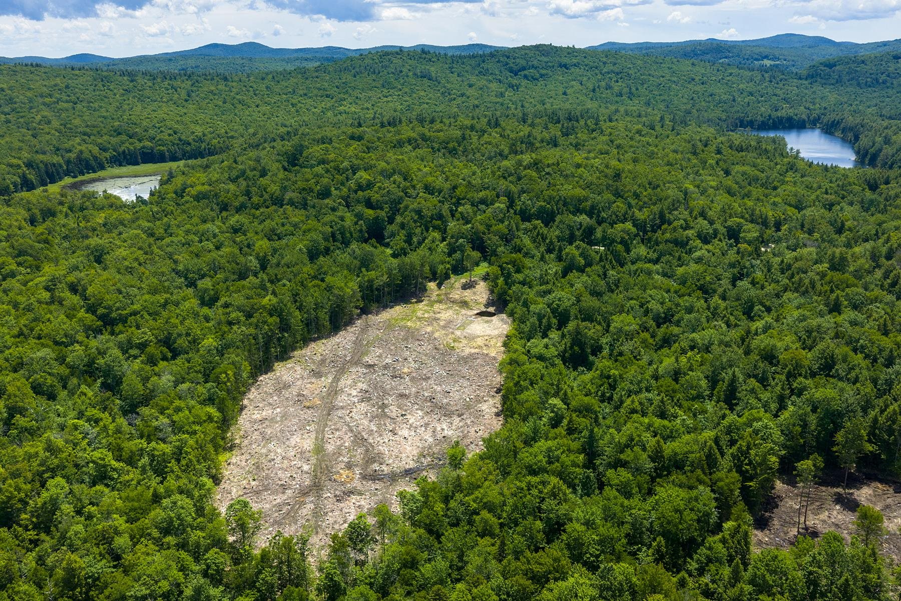0 Little Pond Road Andover, VT 05143 - Photo 15 of 16