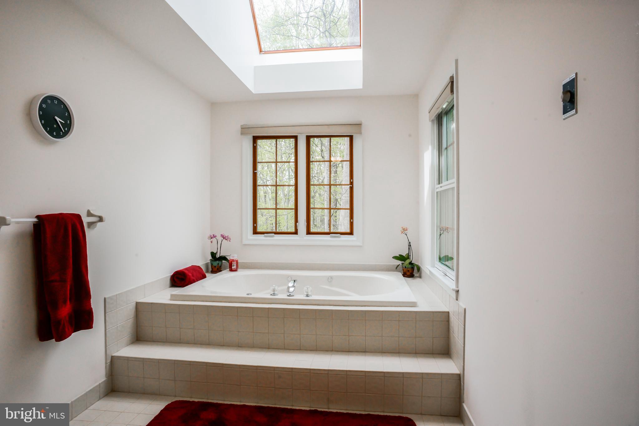 4 Beechwood Circle Chadds Ford, PA 19317 - Photo 60 of 129 Owners suite soaking tub