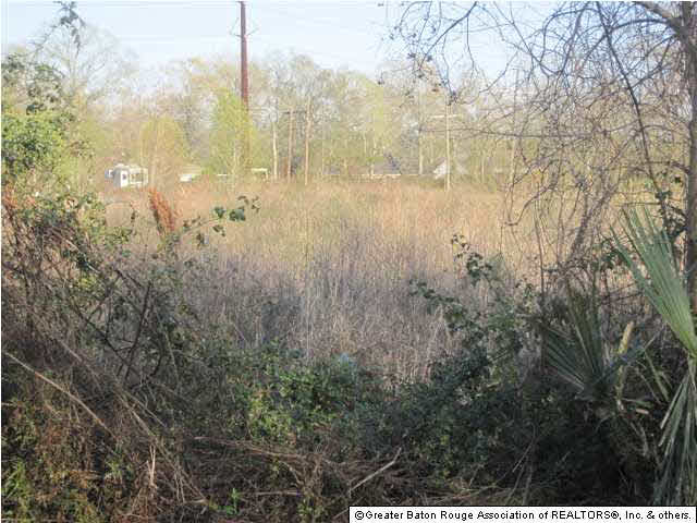 Lot 9 Wayne Stevens Road Gonzales, LA 70737 - Photo 1 of 7 Gallery Image 1