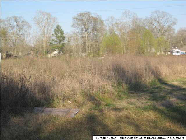 Lot 9 Wayne Stevens Road Gonzales, LA 70737 - Photo 2 of 7 Gallery Image 2