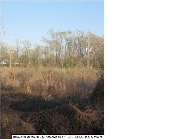 Lot 9 Wayne Stevens Road Gonzales, LA 70737 - Photo 4 of 7 Gallery Image 4