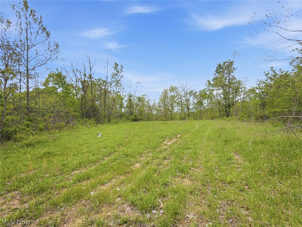 69-acres Newlon Road Malta, OH 43758 - Photo 17 of 20