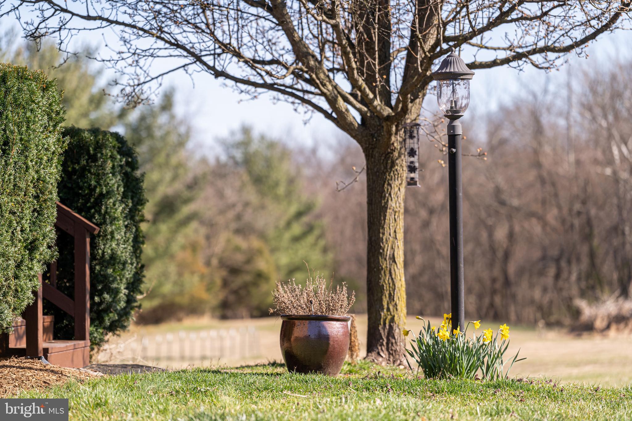 43849 Spinks Ferry Road Leesburg, VA 20176 - Photo 56 of 77 Gallery Image 56