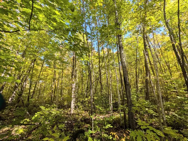 $89,900 | Tbd Tbd Highway, Winter, WI 54896
