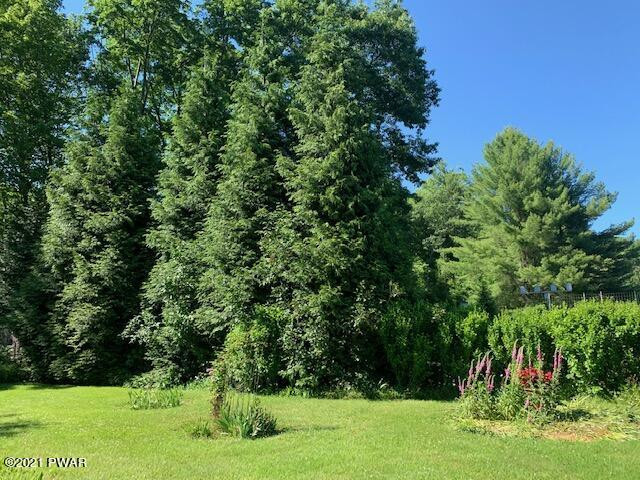145 West Shore Road Shohola, PA 18458 - Photo 10 of 39 IMG_3475