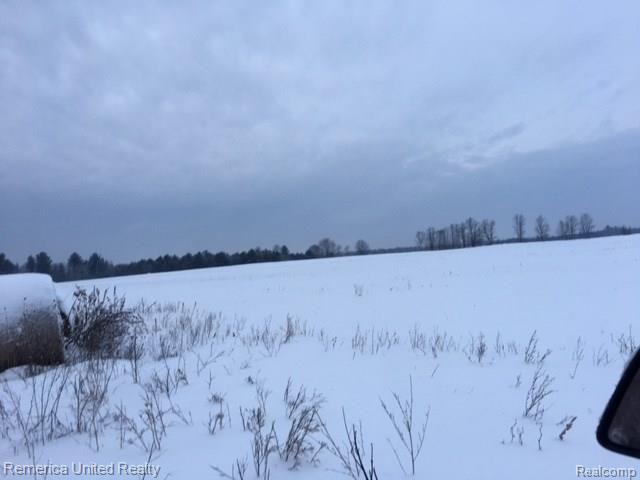 15760 Long Rapids Road Lachine, MI 49753 - Photo 10 of 12