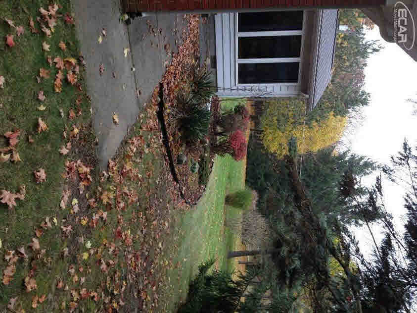 11000 County Line Road Ortonville, MI 48462 - Photo 6 of 19 20423812-5.JPG