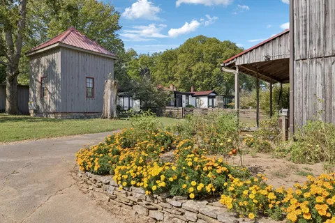 a view of a big yard with lots of green space