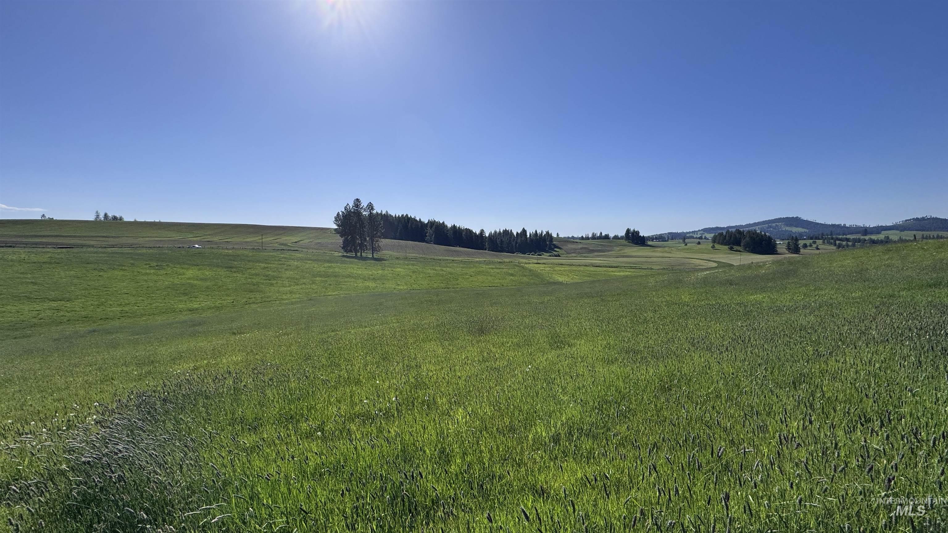 Tbd Harrisburg Road Kamiah, ID 83536 - Photo 40 of 50