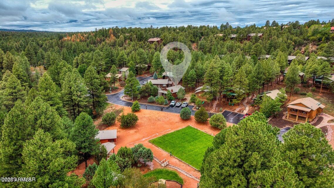 4800 West Tatanka Loop Show Low, AZ 85901 - Photo 28 of 36 an aerial view of residential houses with outdoor space and trees