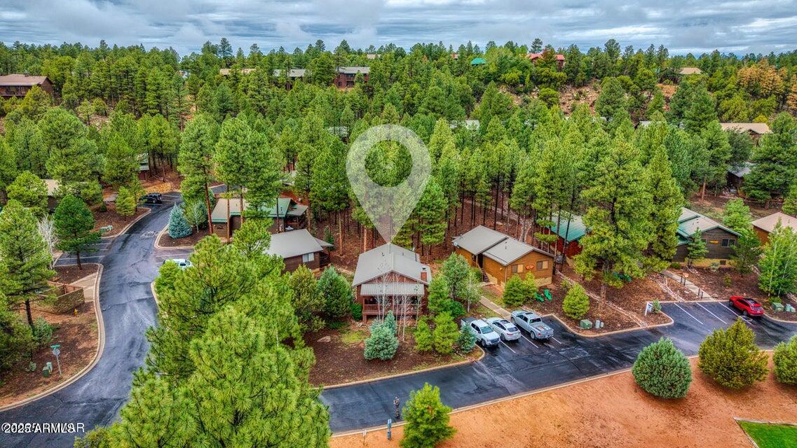4800 West Tatanka Loop Show Low, AZ 85901 - Photo 29 of 36 an aerial view of a house with a garden and plants