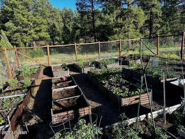 4800 West Tatanka Loop Show Low, AZ 85901 - Photo 33 of 36 a backyard of a house with lots of green space