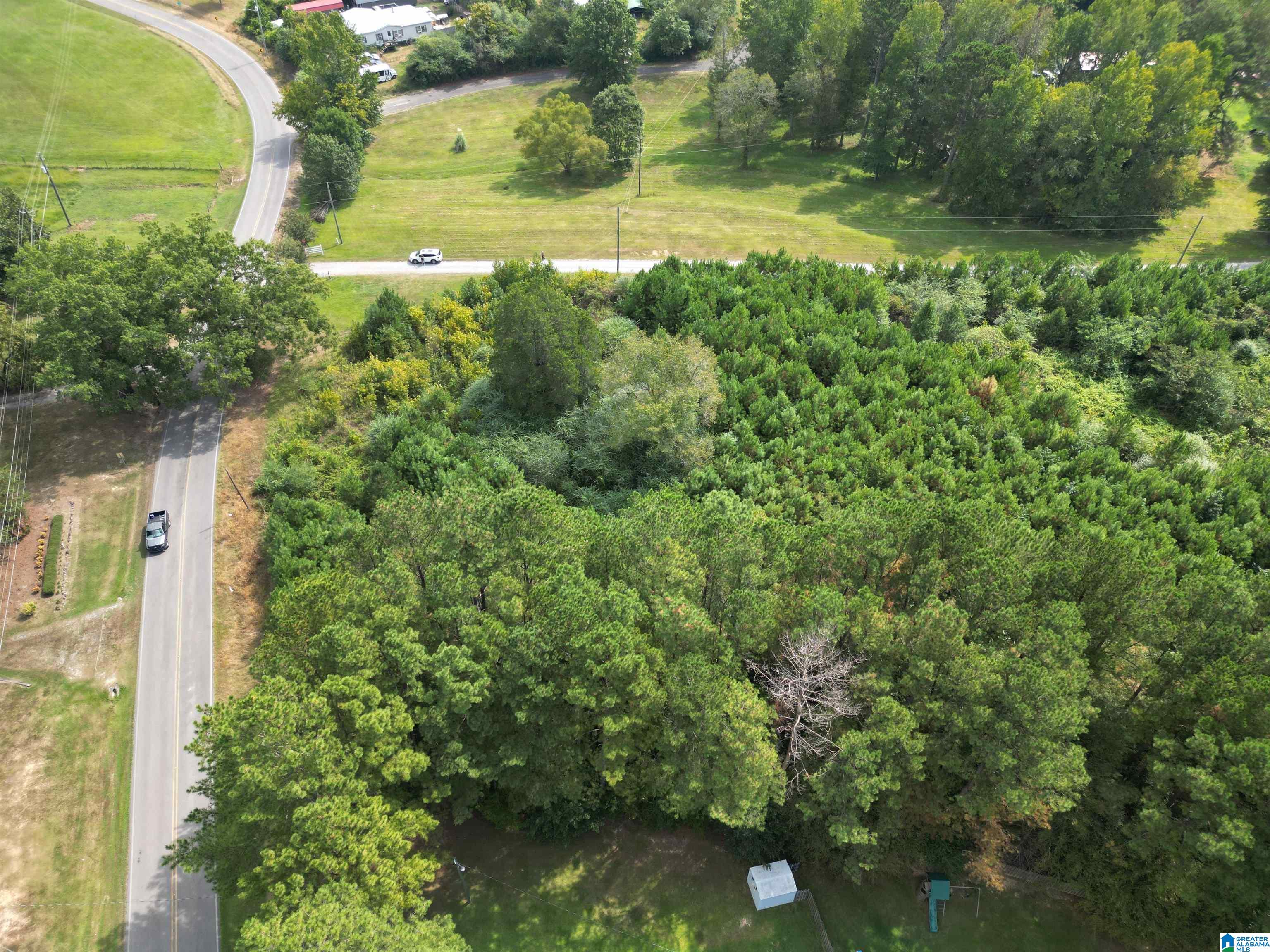 2941 County Line Drive, Unit 1 Trafford, AL 35172 - Photo 8 of 15