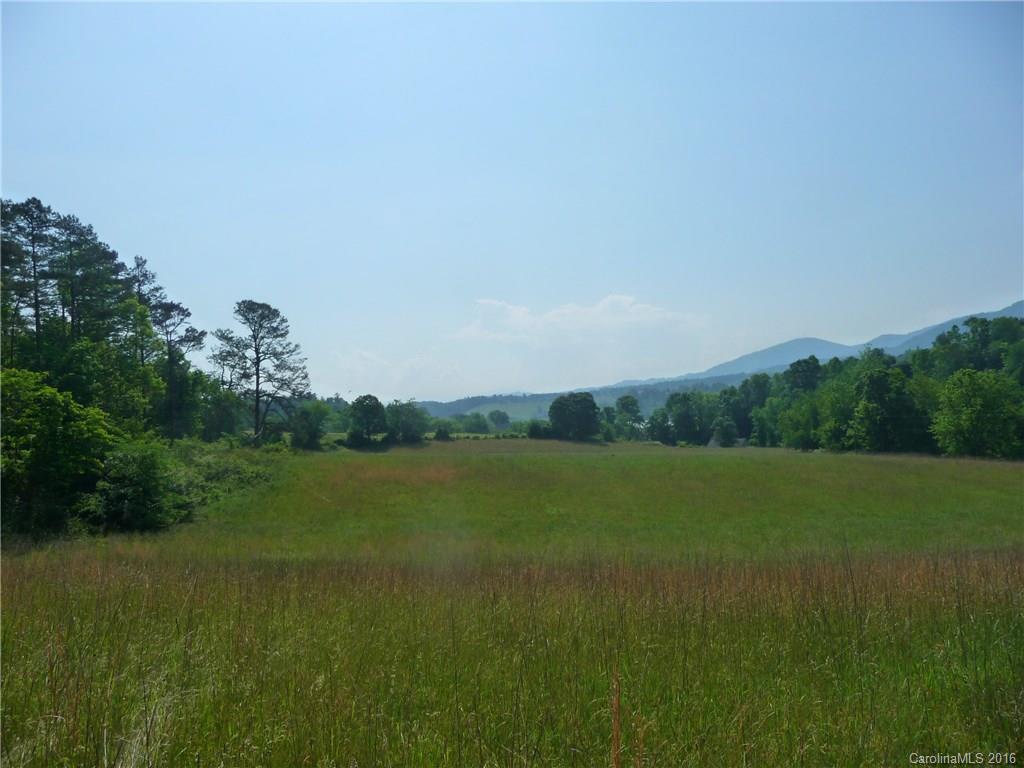0 Jones Patton Road Leicester, NC 28748 - Photo 1 of 17