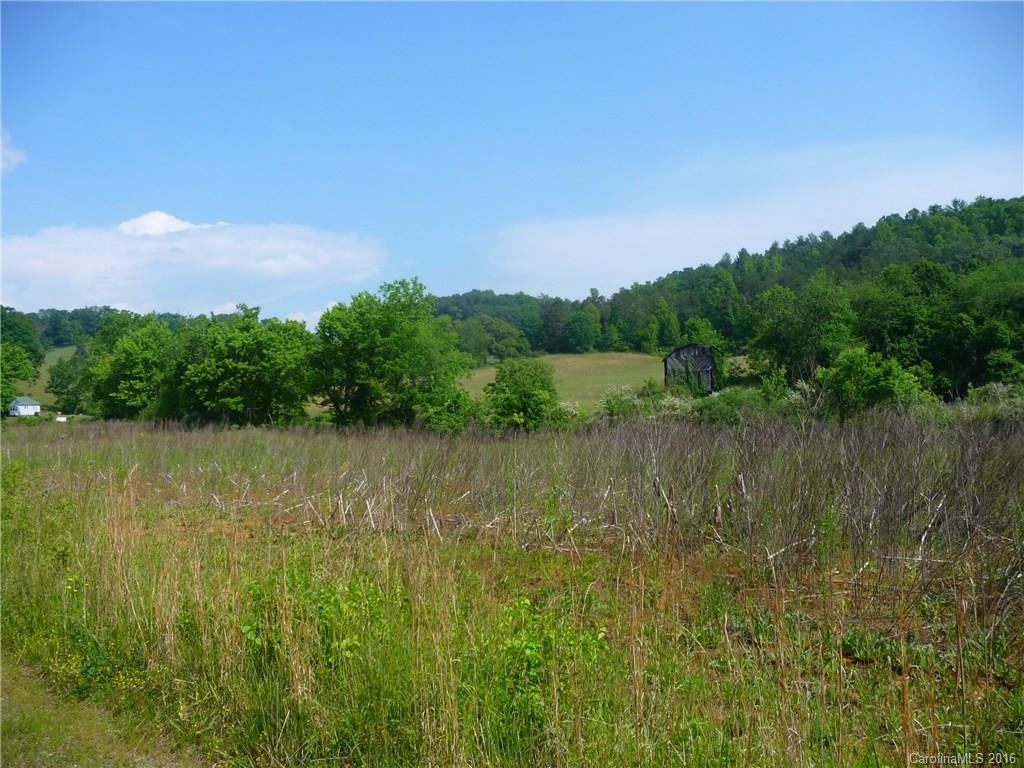 0 Jones Patton Road Leicester, NC 28748 - Photo 2 of 17