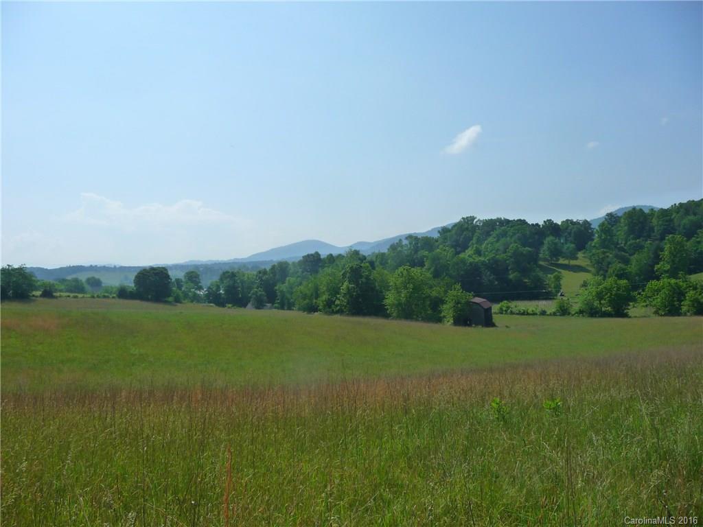 0 Jones Patton Road Leicester, NC 28748 - Photo 11 of 17
