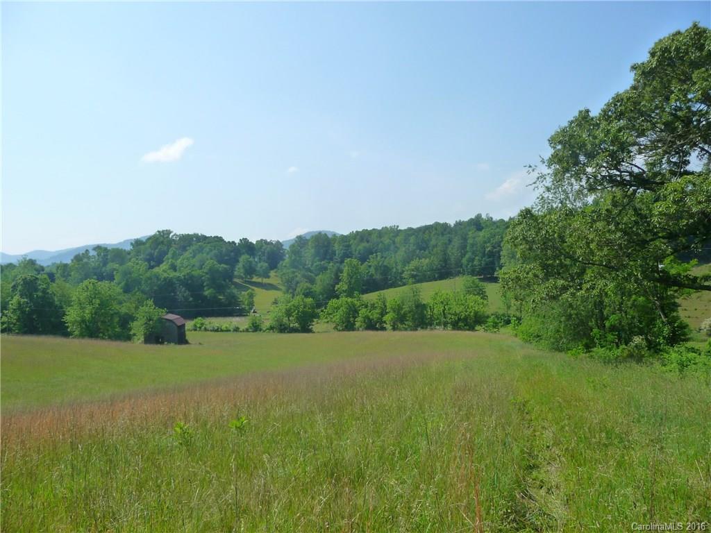 0 Jones Patton Road Leicester, NC 28748 - Photo 12 of 17